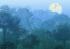 Deep in the Jungle - View 1