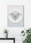 Capricorn