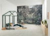 Wood Wide Web - View 1