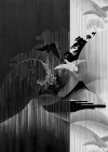 Yin Yang - View 1