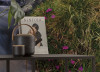 Wild Paradise - View 1