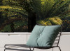 Fjordland Woods  - View 1