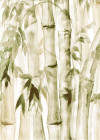 Forest of Magic - View 1