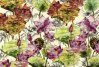 Lotus - View 1