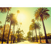 Viva el Sol - View 1