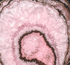 Geode - View 1