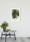 Palmtree Leaves