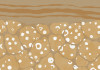 Subsoil - View 1