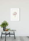 Magnolia Blossom