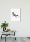 Iguana White