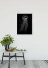 Jellyfish Black