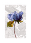 Child of Flowers - View 1