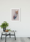Animals Forest Fox