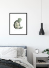 Cute Animal Turtle