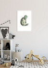 Cute Animal Turtle
