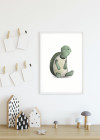 Cute Animal Turtle