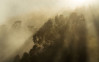 Foggy Sunshine - View 1
