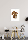 Cute Animal Squirrel