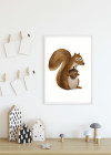 Cute Animal Squirrel