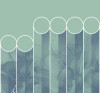 spots - View 1