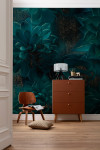 Ombres - View 1