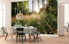 Summer Glade - View 1
