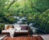 Green Tales - View 1