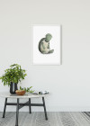 Cute Animal Turtle