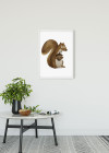 Cute Animal Squirrel