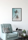 Miami Palms
