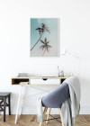 Miami Palms