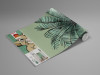 Jungle Simba - View 1
