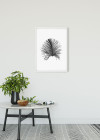 Feather White