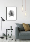 Feather White