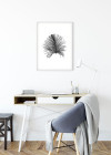 Feather White