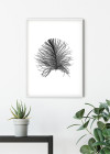 Feather White