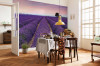 Provence - View 1