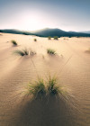 Vivid Dunes - View 1