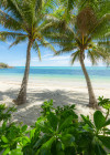Palmy Beach - View 1