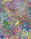 The Jellyfish - View 1
