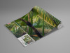 Piratenversteck - View 1