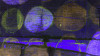 Rolls Rolling darkblue - View 1