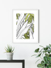 Bleached Leaves