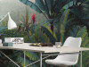 Jungle Morning - View 1