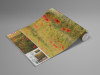 Poppy World I - View 1
