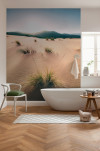 Vivid Dunes - View 1