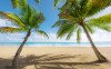Caribbean Days II - View 1