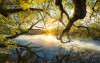 Golden Embrace - View 1
