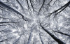 Up - View 1