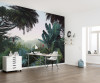Jungle Morning - View 1